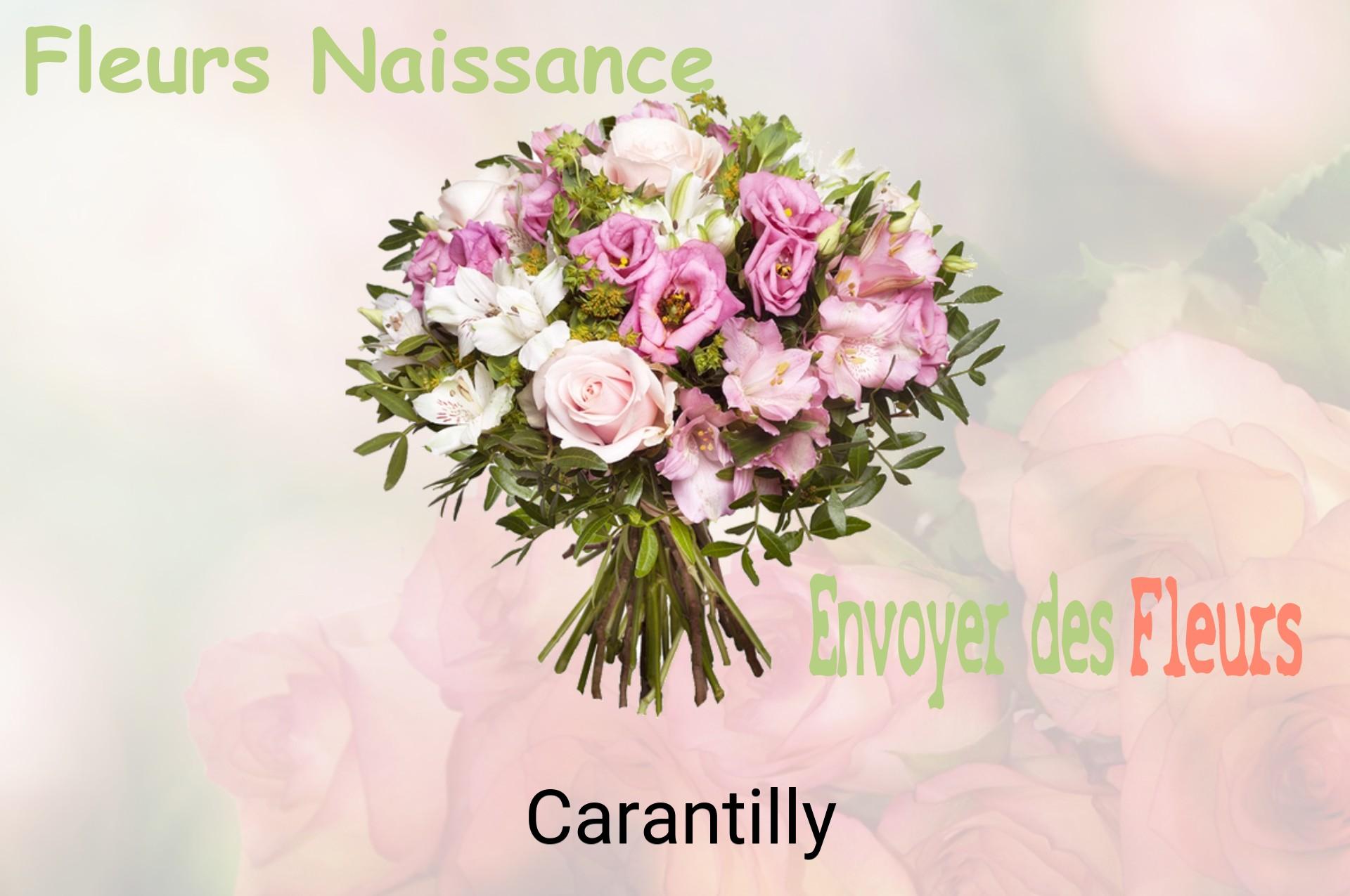 Bouquet de fleurs de naissance livré à Carantilly